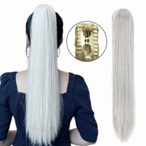 Coda di capelli con pinze Liscia Grigio