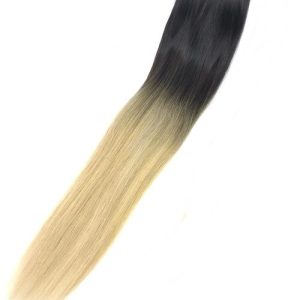 Coda di capelli sintetici Ombre 1B 613